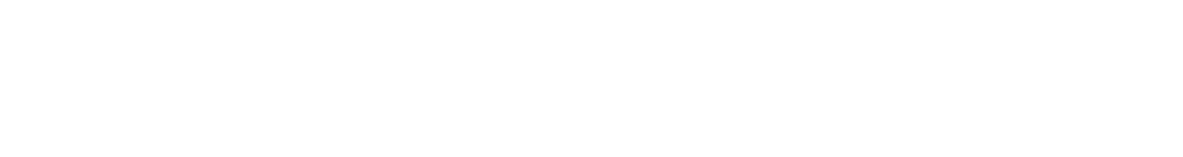 RALLY wordmark